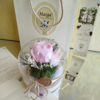 Peonía rosa preservada
