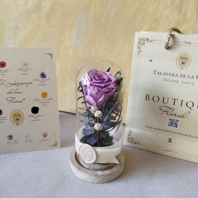 Rosa morada