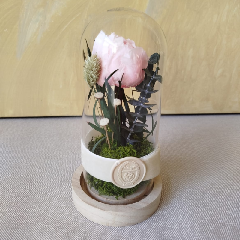 Peonía rosa