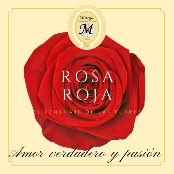 rosa eterna roja