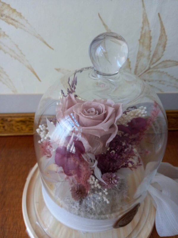 cúpula de flores preservadas, rosa eterna, regalos originales