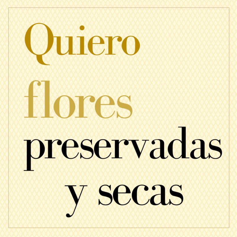 Flores preservadas y secas